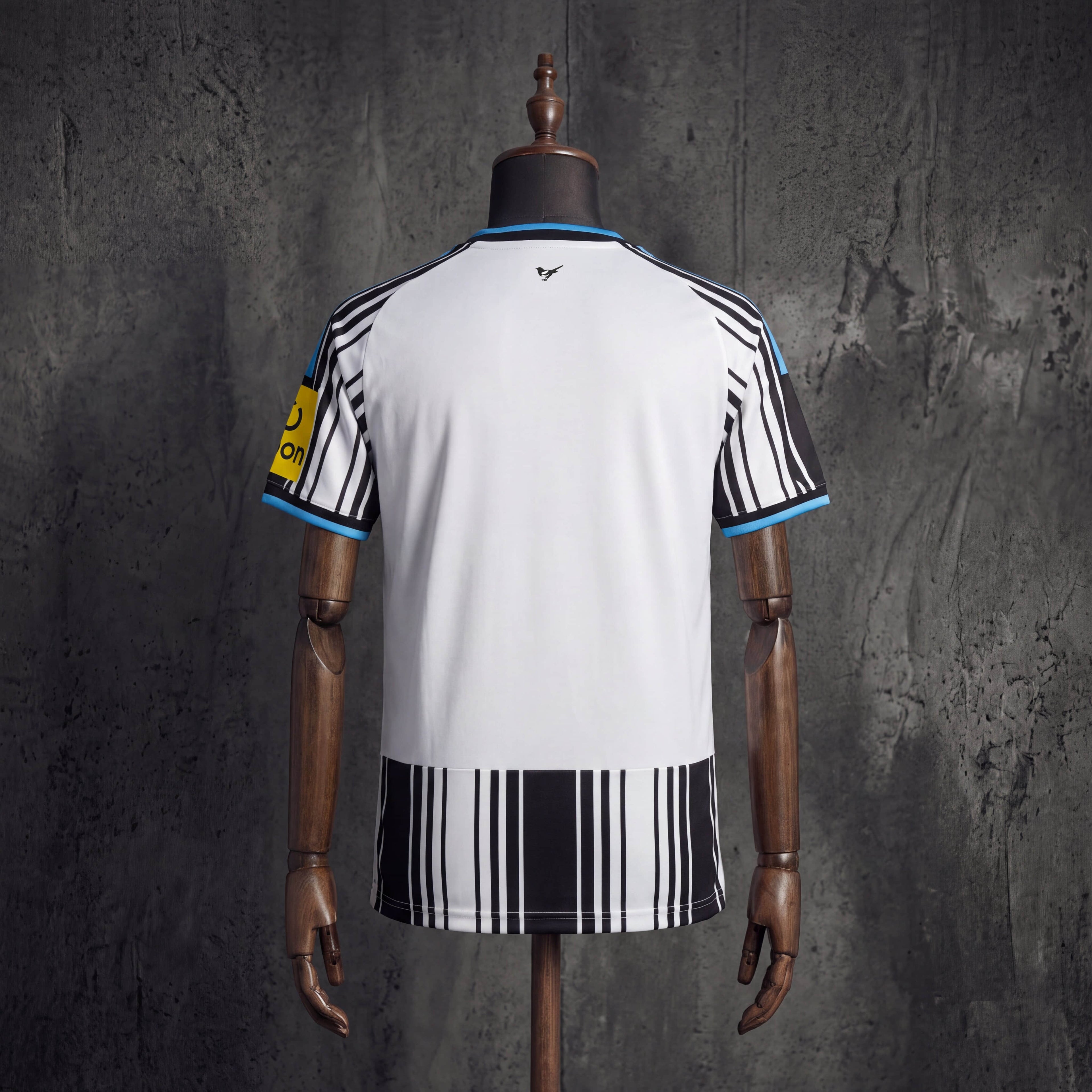 Newcastle United 2026/2027 Local